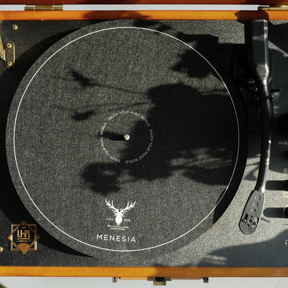 12 Inch Turntable Mat, Slipmat for Vinyl LP Record Player, Record Player Mat (Black)